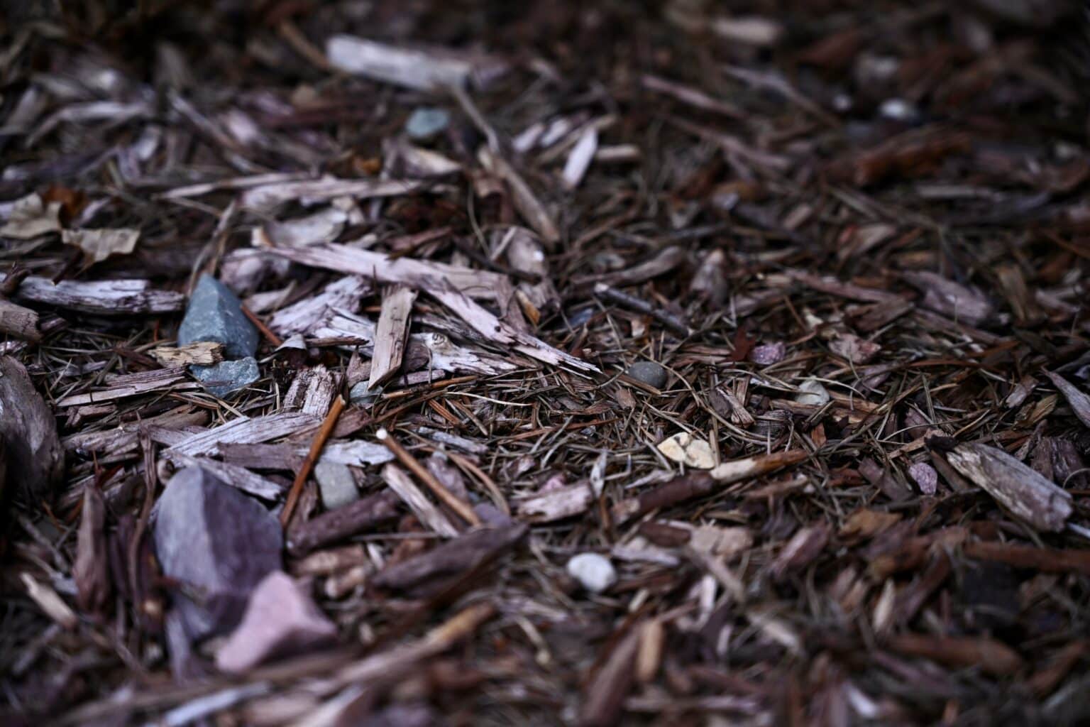 How To Clean Composite Decking The Complete Guide